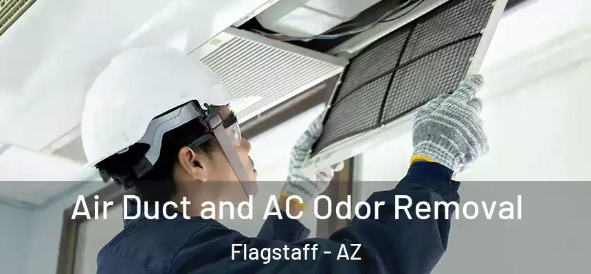 Air Duct and AC Odor Removal Flagstaff - AZ