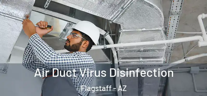 Air Duct Virus Disinfection Flagstaff - AZ