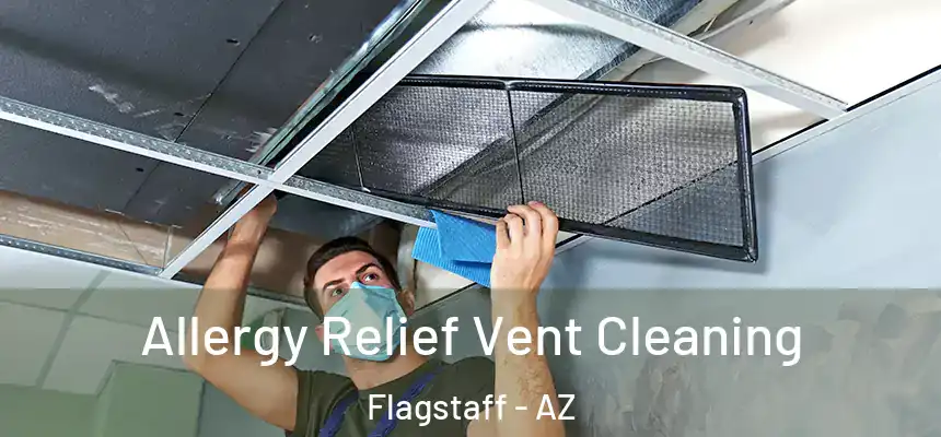 Allergy Relief Vent Cleaning Flagstaff - AZ