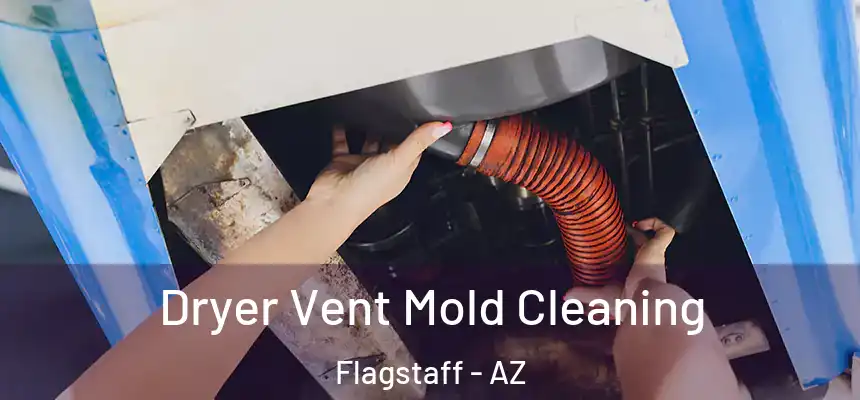 Dryer Vent Mold Cleaning Flagstaff - AZ