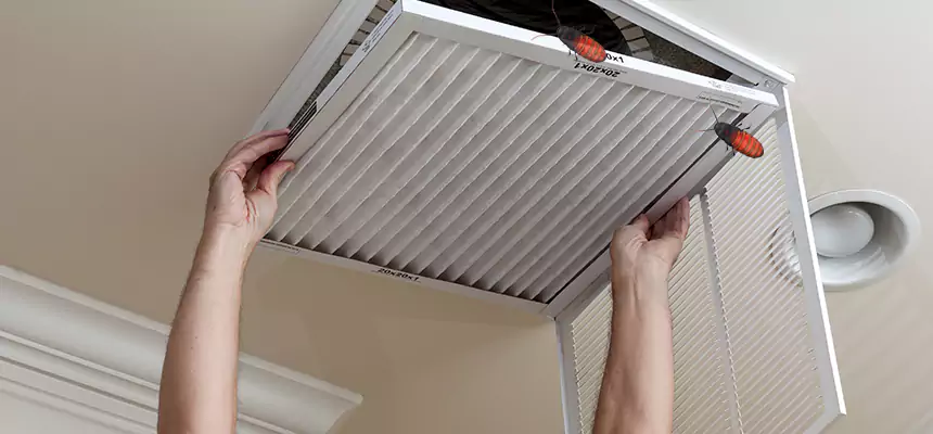 Preventive Cockroach-Proofing for Ducts in Flagstaff