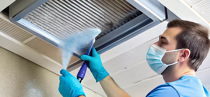 Proactive Dryer Vent & Auxiliary Duct Pollen Cleanup in Flagstaff, AZ