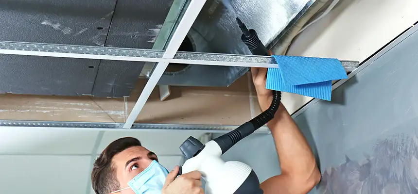 Our Air Duct Rodent Removal Services in Flagstaff, AZ