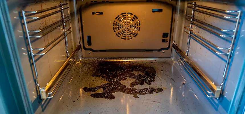 Our Dryer Vent Mold Cleaning Services in Flagstaff, AZ