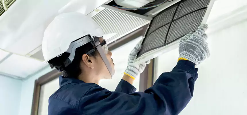 Our Mold & Mildew Removal from Air Ducts Services in Flagstaff, AZ