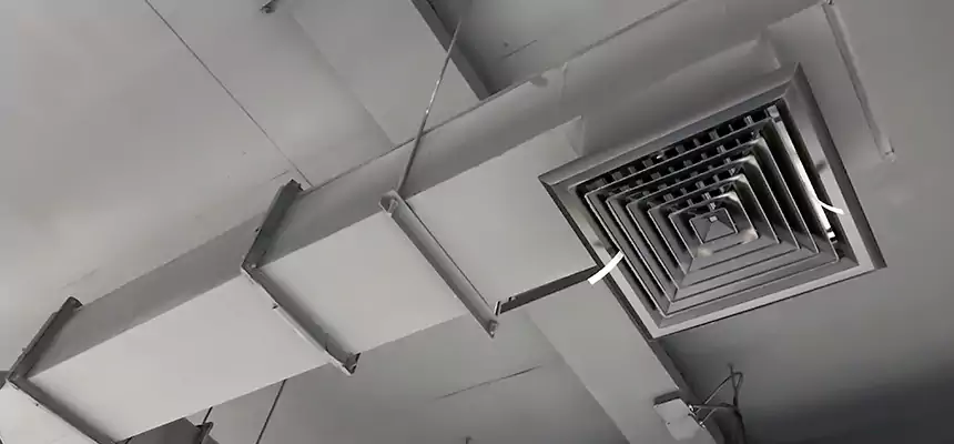 Our Rodent Droppings In Vents Services in Flagstaff, AZ