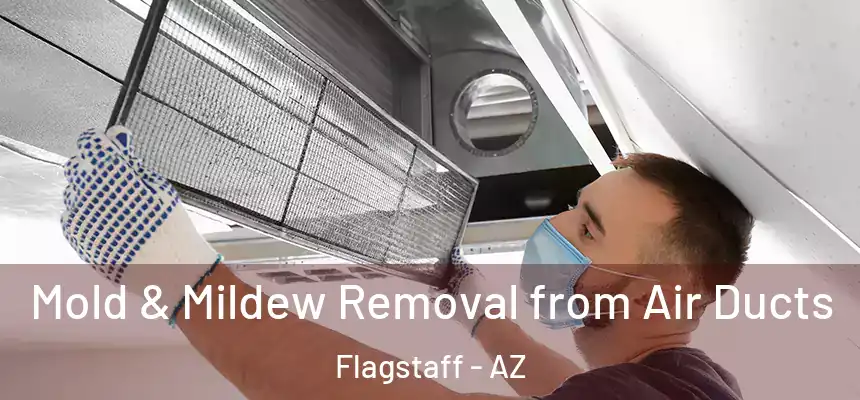 Mold & Mildew Removal from Air Ducts Flagstaff - AZ
