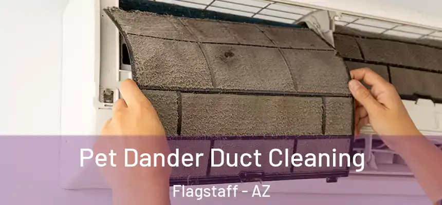 Pet Dander Duct Cleaning Flagstaff - AZ