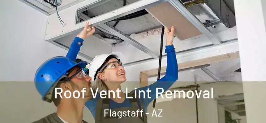 Roof Vent Lint Removal Flagstaff - AZ