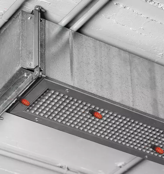 About Air Duct Cockroach Removal in Flagstaff, AZ