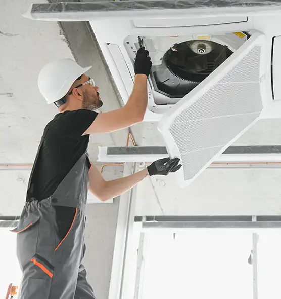 About Air Duct Rodent Removal in Flagstaff, AZ