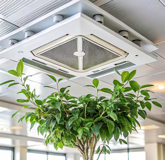 Why Homeowners & Businesses Trust Us in Flagstaff, AZ